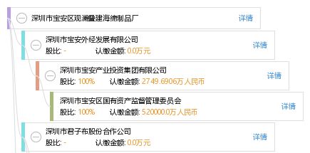 深圳市寶安區(qū)觀瀾疊建海綿制品廠網(wǎng)站建設方案